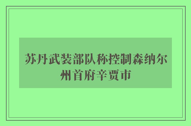 苏丹武装部队称控制森纳尔州首府辛贾市