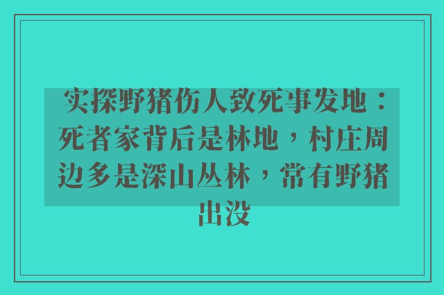 实探野猪伤人致死事发地：死者家背后是林地，村庄周边多是深山丛林，常有野猪出没