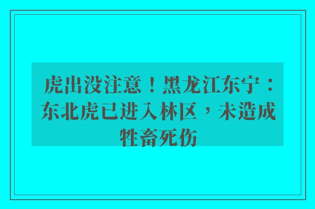 虎出没注意！黑龙江东宁：东北虎已进入林区，未造成牲畜死伤