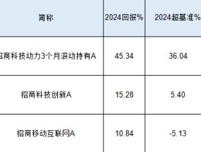 招商基金张林2024业绩首尾相差34%，持仓相似收益差距很大！招商移动互联网基金风格漂移，1只互联网股都没有