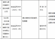 奉新九银村镇银行被罚30万元：通过借新还旧延缓风险暴露