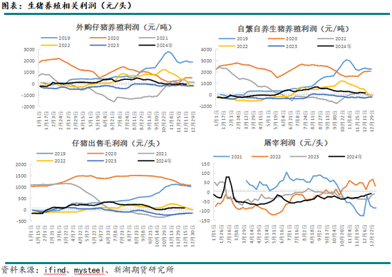 新湖农产（生猪）2025年报：夜深知雪重，时闻折竹声