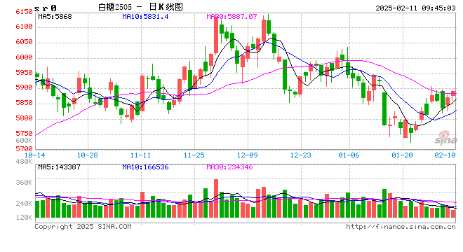 光大期货：2月11日软商品日报